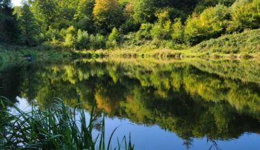 La météo en Belgique : un week-end sous la grisaille, la douceur persiste