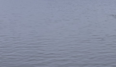 Super pod near Arran.