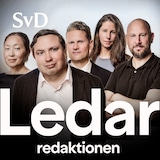 Äntligen dags för Lex Miljöpartiet