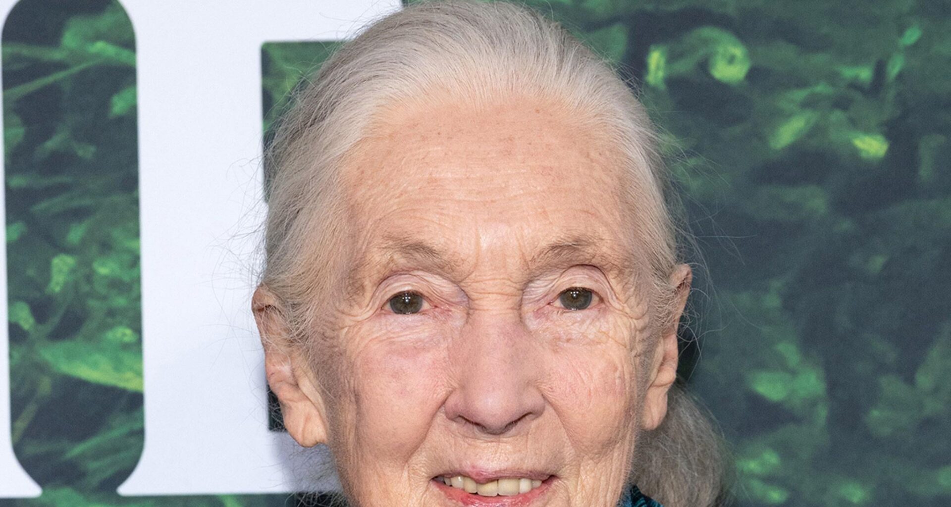 Dr. Jane Goodall Dead at 91