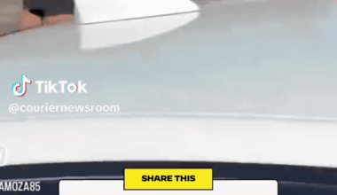 Remember: WE THE PEOPLE. ICE terrorists only have power when we’re divided — together, they’re weak.