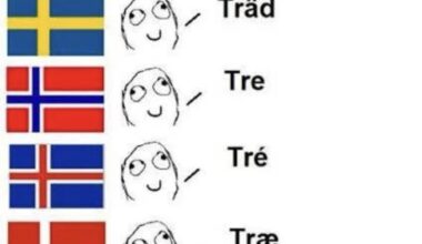 Beautiful and superior language.