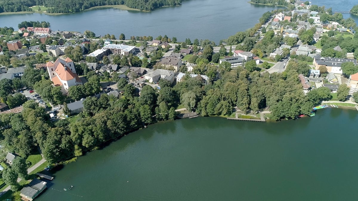 Europe's nature loss is 600 football pitches daily