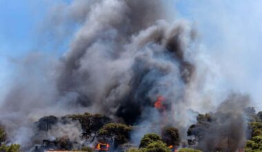 CO2 levels in Earth's atmosphere jumped by a record amount in 2024