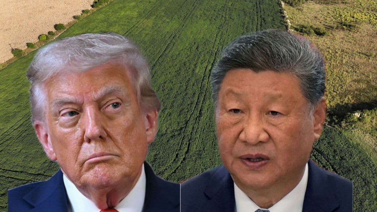 Amid China's spy boycott, Trump considering $10 bn bailout for soyabean farmers – Firstpost