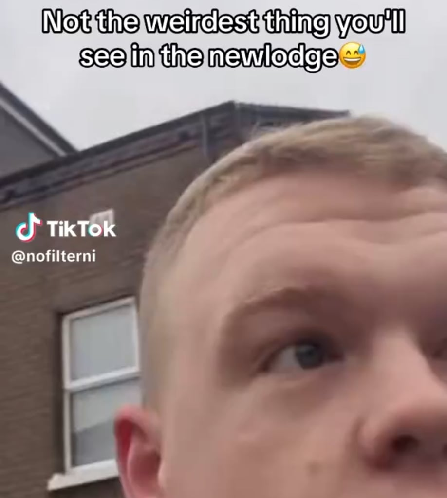 Whats going on in newlodge?