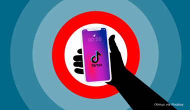 bne IntelliNews - Moldova's election commission seeks to disqualify PPDA party over undisclosed TikTok campaign