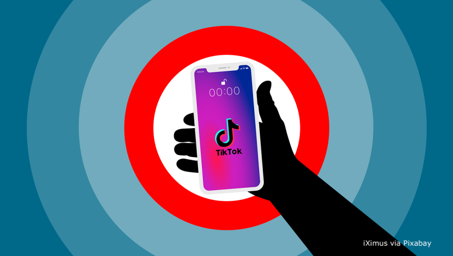 bne IntelliNews - Moldova's election commission seeks to disqualify PPDA party over undisclosed TikTok campaign