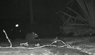 Übeltäter gefunden. Was nun?