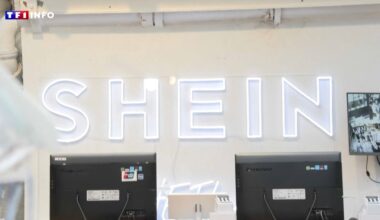 "Prix à perte" : pourquoi l'installation de boutiques Shein en France fait-elle si peur ?