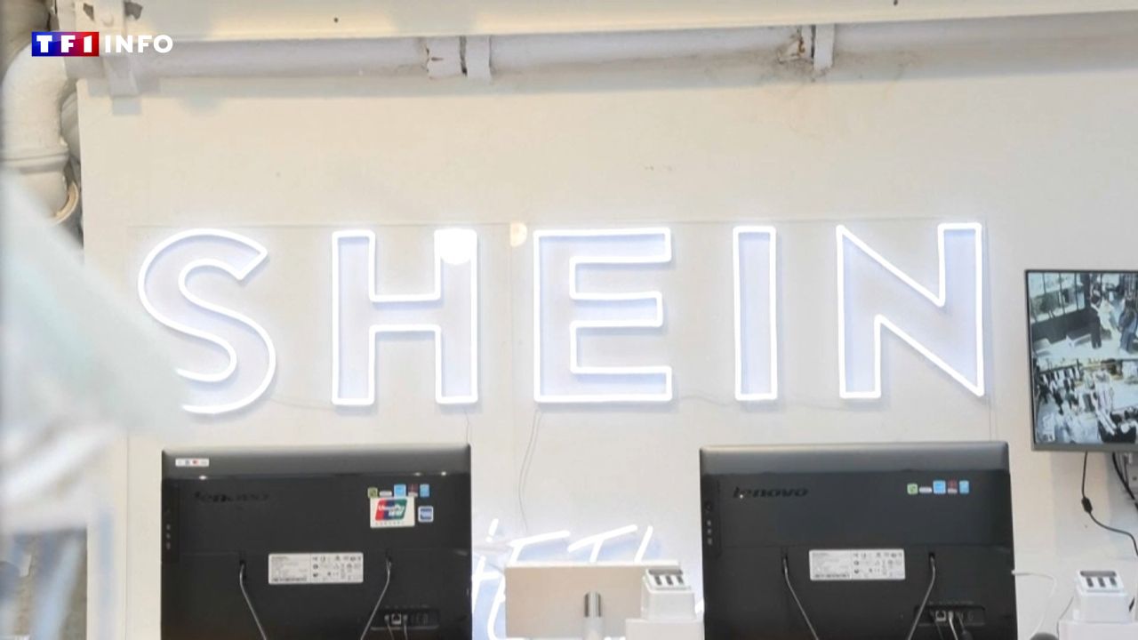 "Prix à perte" : pourquoi l'installation de boutiques Shein en France fait-elle si peur ?