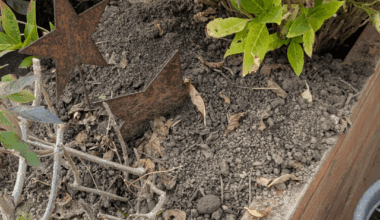 Welches Tier gräbt hier?