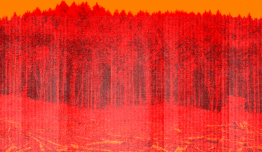 Right-wing media personalities seize on arson charge to falsely deny the role of climate change in Palisades Fire