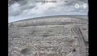 Birds of Magyar  target russian  soldier on a buggy while another  soldier  is nearby, Donetsk region