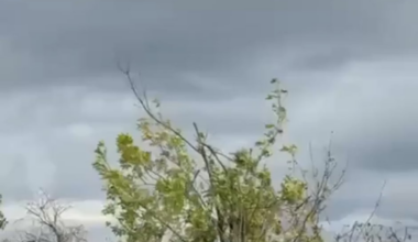 New footage has emerged showing the downing of a Russian Mi-8 helicopter by a FPV drone from Ukraine's 59 brigade on 28th of September.