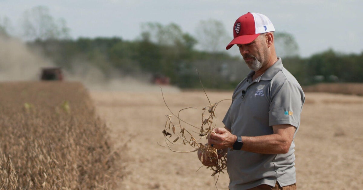 Soybean farmer who backed Trump feels strain of China's boycott amid trade war