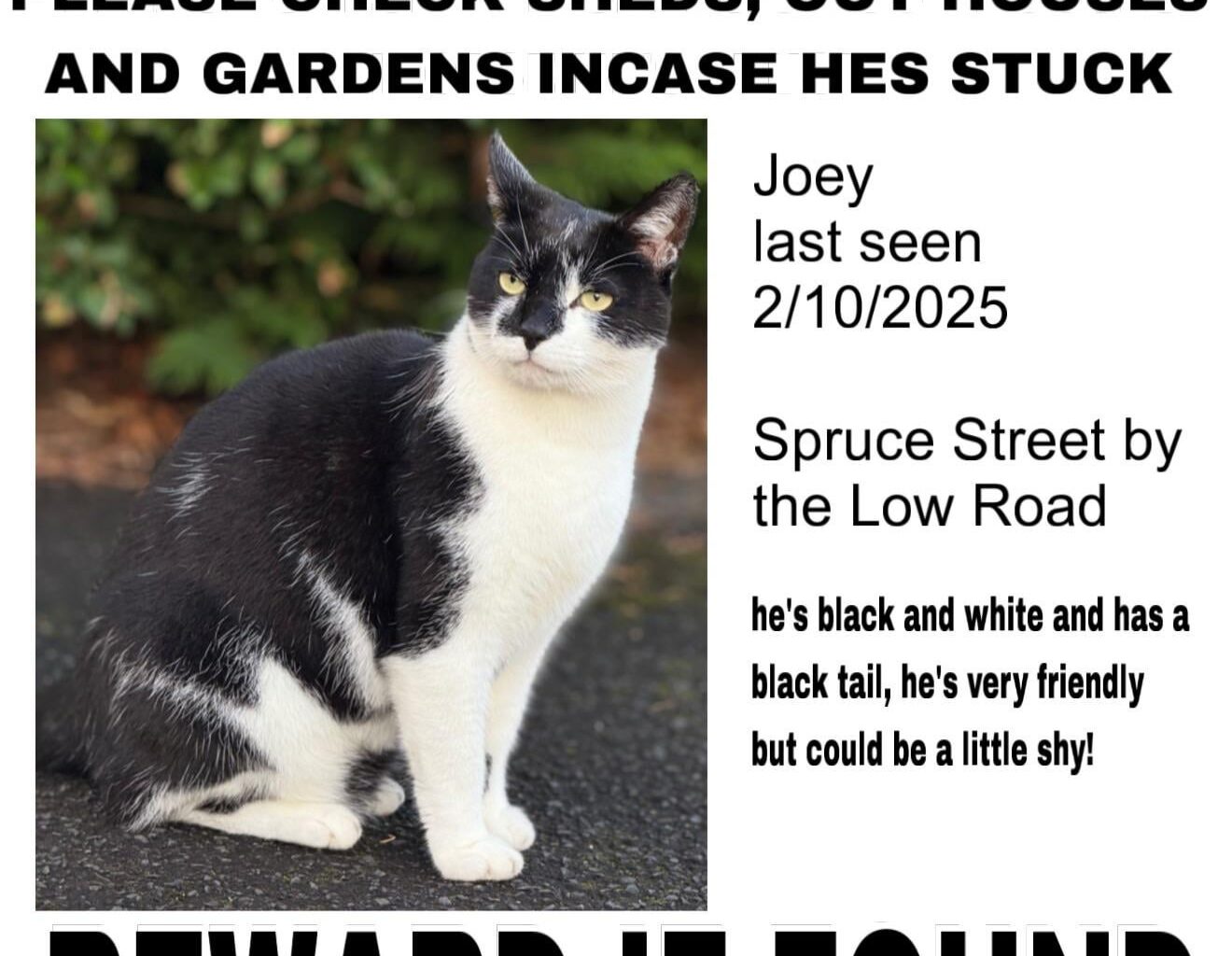 If anyone in here lives in Lisburn. Please keep a look out!