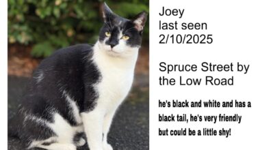 If anyone in here lives in Lisburn. Please keep a look out!