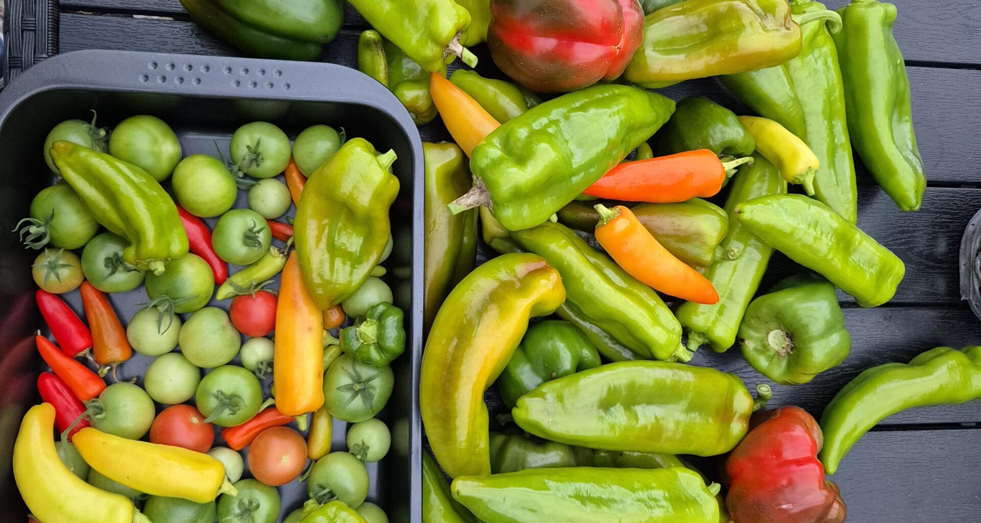 Letzte Ernte vor dem Frost