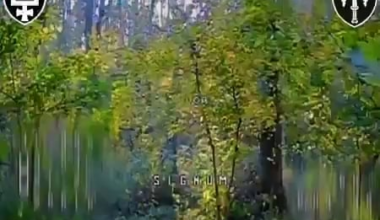 Signum Unit, 93rd Mechanized Brigade, fly a fpv through dense foliage hunting for russian infantry.