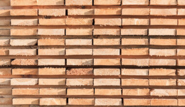 In August, price for lumber exported from Finland to Algeria slides 1.5%