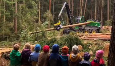 Average day trip of a northern european kindergarten