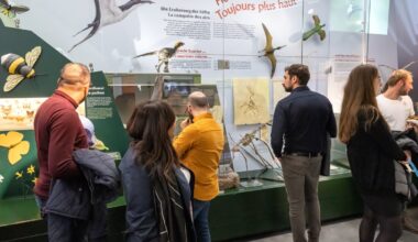 Des mesures correctives en matière de sécurité ont récemment été mises en place au sein du Naturmusée.