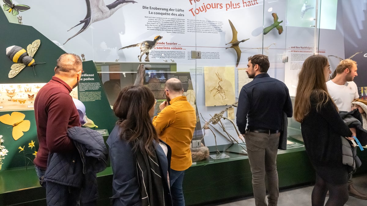 Des mesures correctives en matière de sécurité ont récemment été mises en place au sein du Naturmusée.