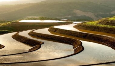 The World’s Hunger. Geopolitics of Food