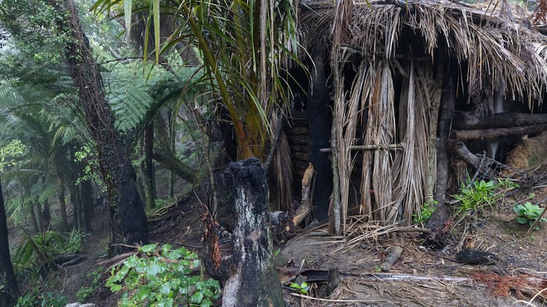 Campsite north of Marokopa.