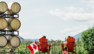 How the U.S. trade war uncorked a surprising boom for wineries across Canada