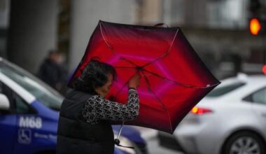 Environment Canada issues B.C. wind warnings - BC