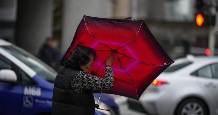 Environment Canada issues B.C. wind warnings - BC
