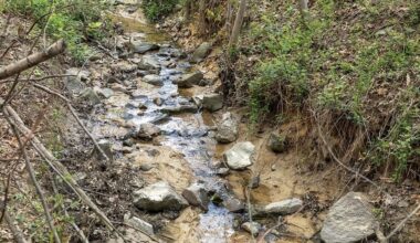 Chinn Park Stream Project: A Win for Nature and Neighbors