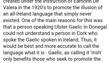 Loyalist post about Irish language