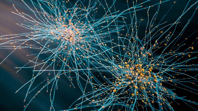 Brain Cell Mapping Revolutionized by Open-Source AI Tool