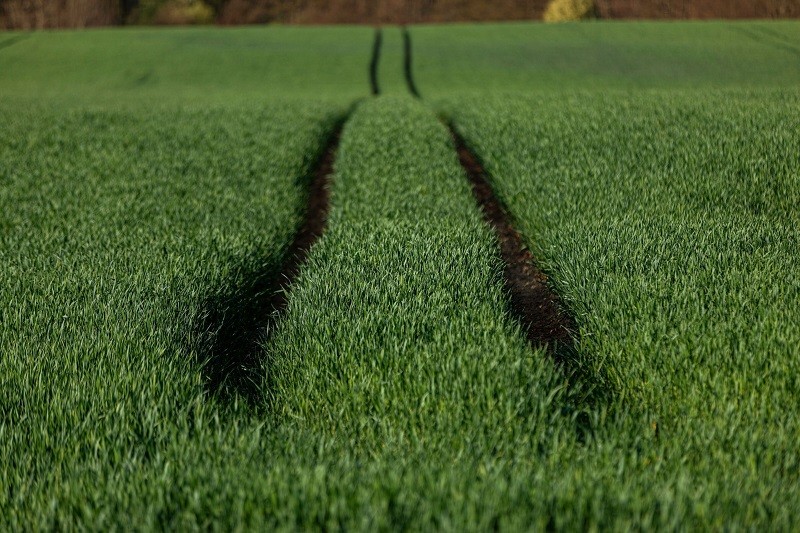 Canada, Singapore and UK Among Countries Most Prepared for Climate Change, BloombergNEF’s New Ranking of Climate Adaptation Preparedness Finds