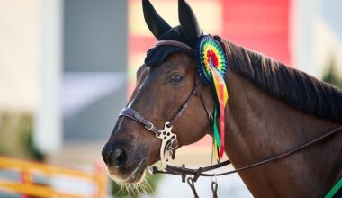 Kim Emmen, Niels Kersten, Robert Vos en Maud Wiefferink zetten Nederland op de kaart tijdens Silver rubriek Autumn MET Tour I in Oliva!