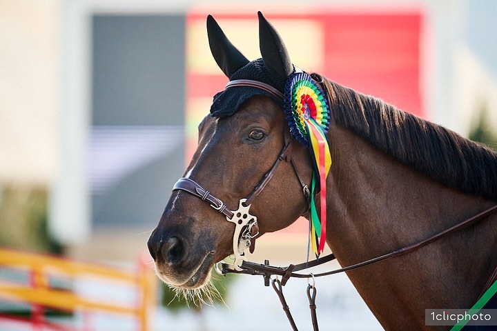 Kim Emmen, Niels Kersten, Robert Vos en Maud Wiefferink zetten Nederland op de kaart tijdens Silver rubriek Autumn MET Tour I in Oliva!