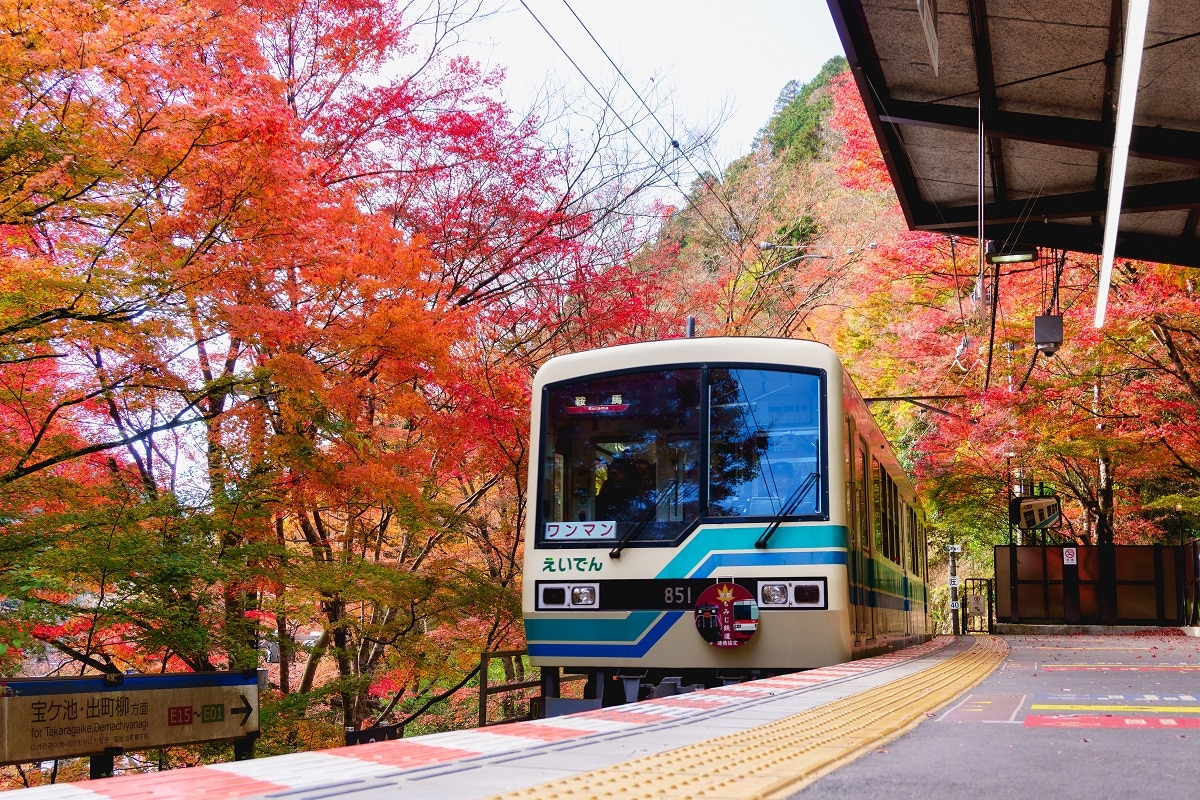 Aussie's looking for autumn adventures can head to Japan for its world-renowned rail network