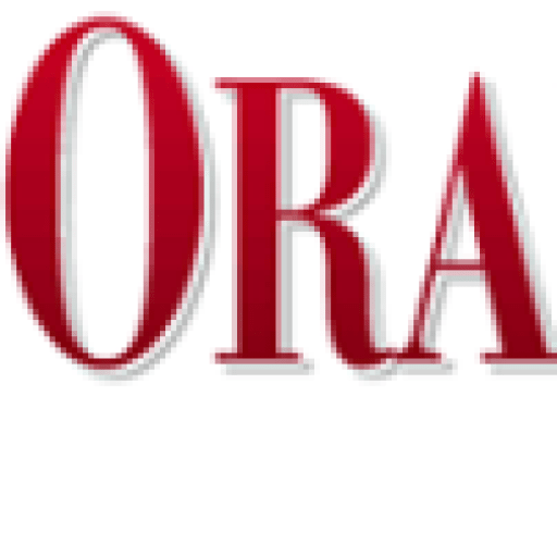 Sumi-e artist Roslyn Levin shares artistic adventure in Japan | Orangeville Citizen