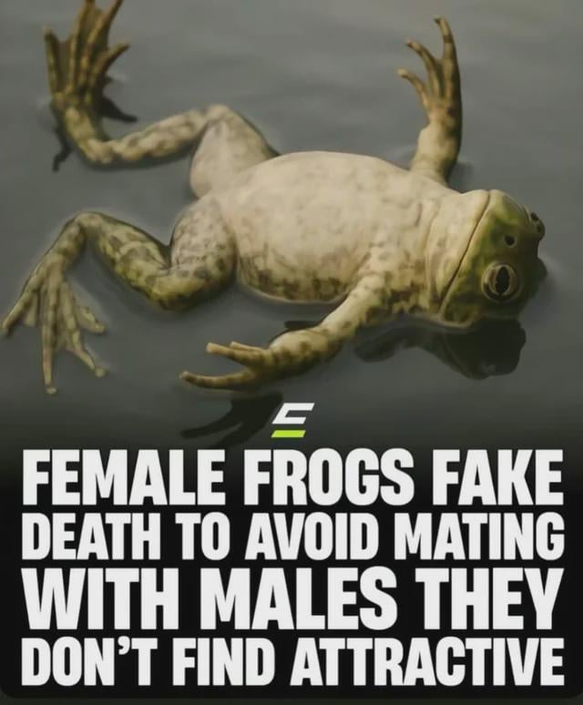 Average Pierre dating experience