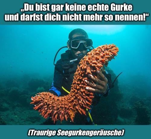 Ich🥒iel