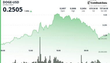 Rejected at $0.26, Slides 2% as Profit-Taking Hits