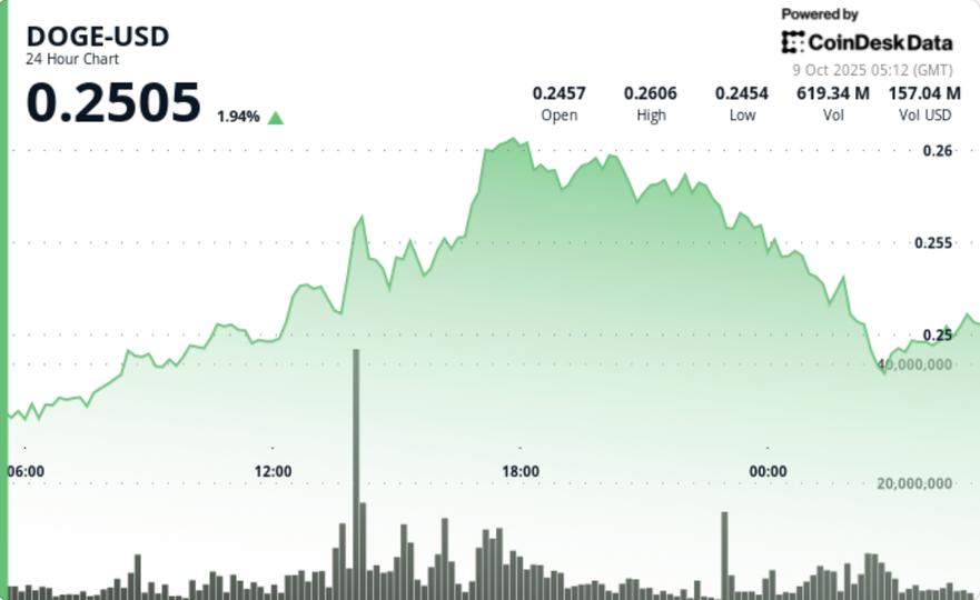 Rejected at $0.26, Slides 2% as Profit-Taking Hits