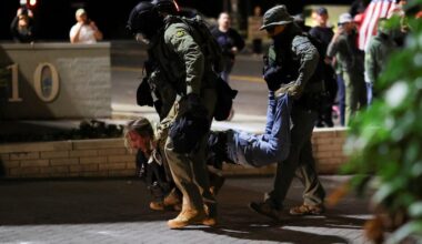 Why people are dressing up as frogs, bears and unicorns at protests in the United States