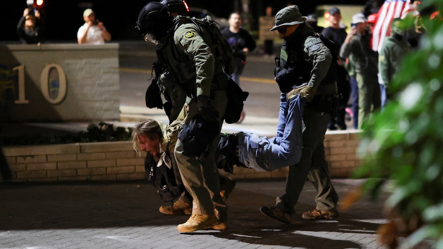 Why people are dressing up as frogs, bears and unicorns at protests in the United States