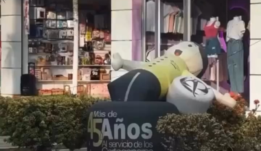 Average Pedro during working hours