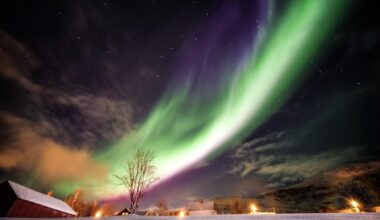 Northern Lights [Tromsø] 🇳🇴