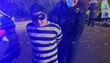 PSNI finally found the wee bastard stealing everyones pallets